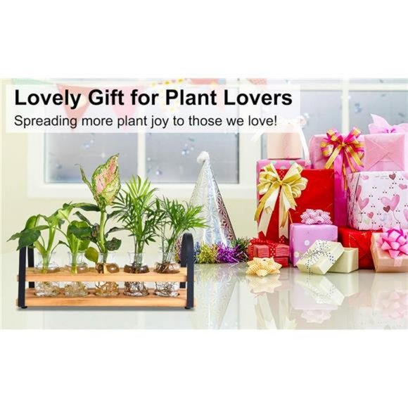 Plant Propagation Stations with Wood Stand - Picture 2 of 8